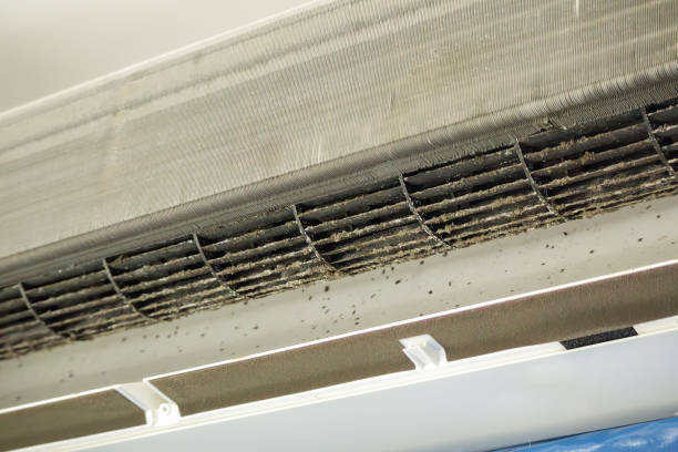 Best Residential Air Duct Cleaning  in Tangelo Park, FL