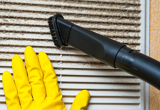 Best Professional Duct Cleaning Services  in Tangelo Park, FL